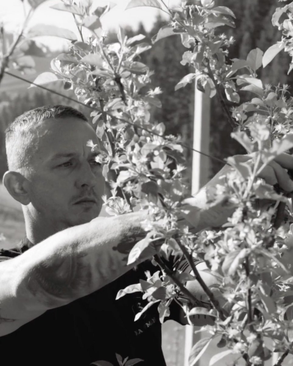 Erfrischung aus den Elmauer Alpen - Kaufmann Spirits
Exquisite Edelbrände aus den Tiroler Bergen
Kaufmann Spirits vereint traditionelle Brennkunst mit alpiner Reinheit und Sorgfalt.
*
*
#Kaufmann
#Brombeere
#Elmau
#Tirol
#Austria
#Österreich
#onlineshop
#exquisit
#Marille