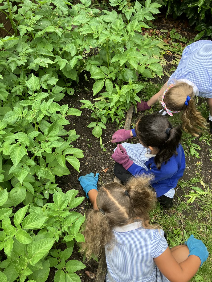 Canon Burrows CE Primary School tweet media