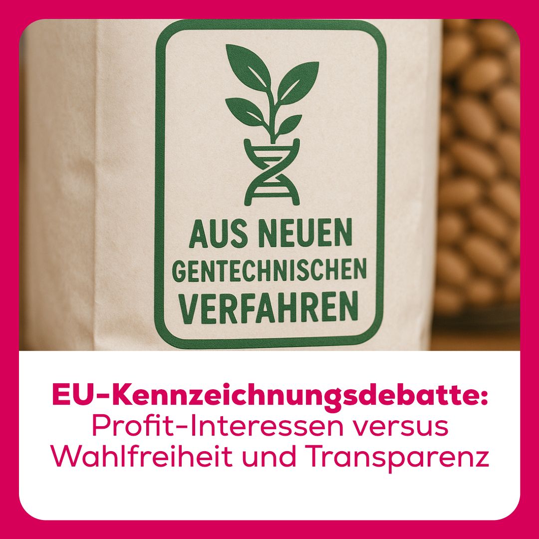 SAG (@sag_gentechfrei) on Twitter photo Kennzeichnungspflicht als Produkt-Diskriminierung oder als Recht auf eine informierte Kaufentscheidung? buff.ly/xty2zXS Das ist der Kern der Debatte um Kennzeichnung und Rückverfolgbarkeit im Rahmen der Deregulierung der neuen Gentechnik in der EU.
Die SAG setzt sich für Kennzeichnungspflicht als Produkt-Diskriminierung oder als Recht auf eine informierte Kaufentscheidung? buff.ly/xty2zXS Das ist der Kern der Debatte um Kennzeichnung und Rückverfolgbarkeit im Rahmen der Deregulierung der neuen Gentechnik in der EU.
Die SAG setzt sich für