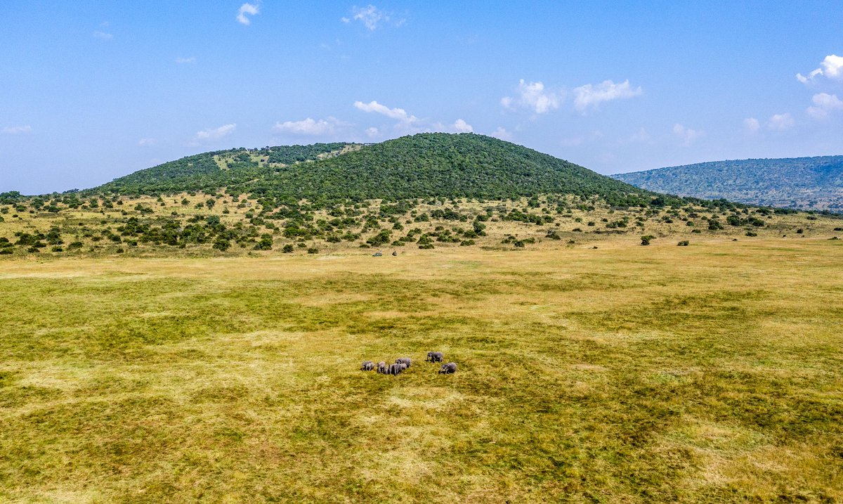 PMuzogeye's tweet photo. Welcome to the Akagera National Park where the untamed magic savanna whispers and giants roam!
#VisitRwanda 🇷🇼 https://t.co/TgnzdYbeH4