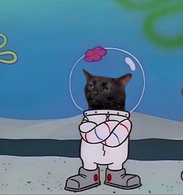 Contexto: viaje en blablacar. Madrid a san rafael. (45min). Conductor junto con su pareja. 2 pasajeras. Me pone la siguiente reseña.

CALLADA PERO BIEN PUESTA. 
Me encantaria saber que quiso decir