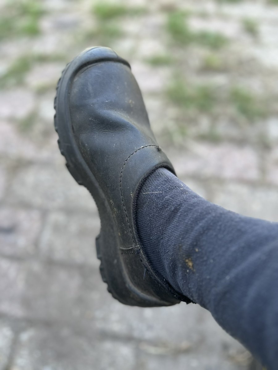 GoddesDutchEqui's tweet photo. Zo schoon zijn ze nog nooit geweest!!😱

Gisteren met de cashmeet waren er een aantal slaafjes langs geweest, waaronder een trouwe slaaf die zijn job goed begreep👅👅👅👅👅👅

Findom piggy cashmeet https://t.co/7VKpBKE6FR
