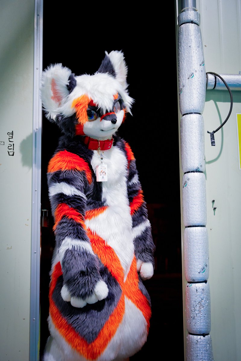 谁没关门，我要进来了♥️

📷：<a href="/kemochuki/">Chuki</a> 

#FursuitFriday