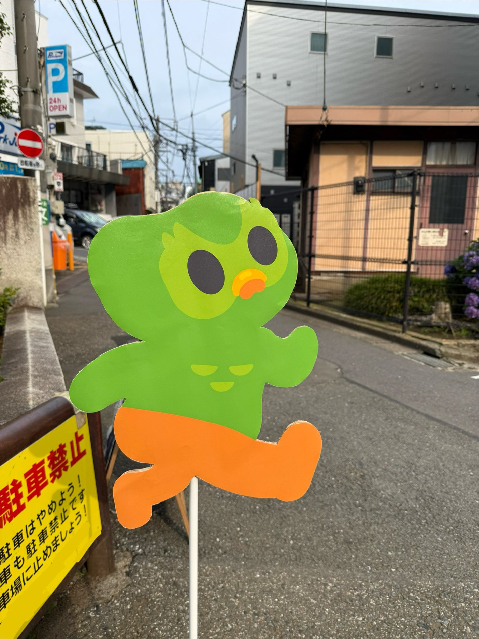 Duolingo(デュオリンゴ) | 日本公式🇯🇵 (@Duolingo_Japan) / X
