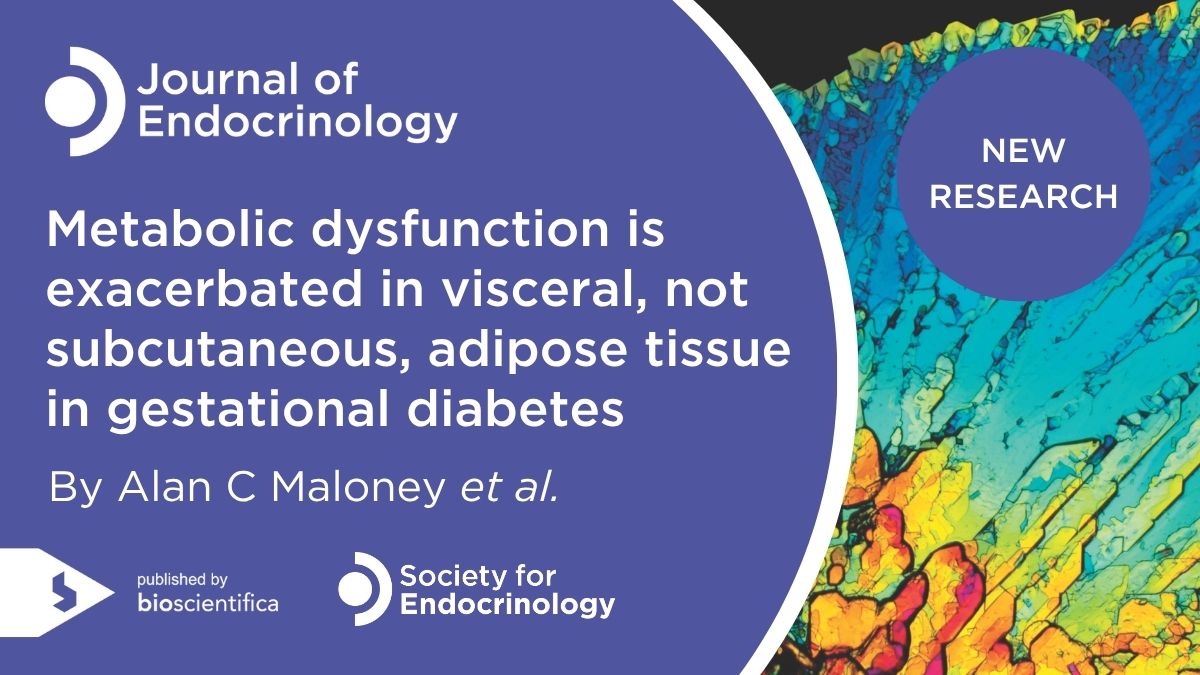 JEndocrinology's tweet image. 🧬New research in gestational #diabetes: Alan C Maloney et al. investigate molecular mechanisms in adipose tissue that may contribute to GDM pathology.
🔗 Subscribers to Journal of Endocrinology can read the full article here: doi.org/10.1530/JOE-25…