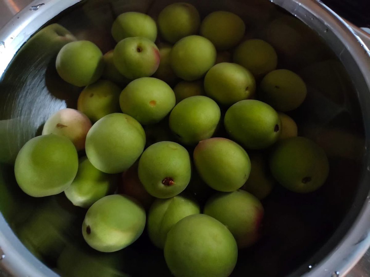 -今週13〜15(金土日)の営業はおやすみです-

大雨が降ったり
湿気の多い日々が続いております

皆さまどうぞ心身ともに健やかにお過ごしくださいね

…………
来週は通常営業です
どうぞよろしくお願いいたします🌕🌕