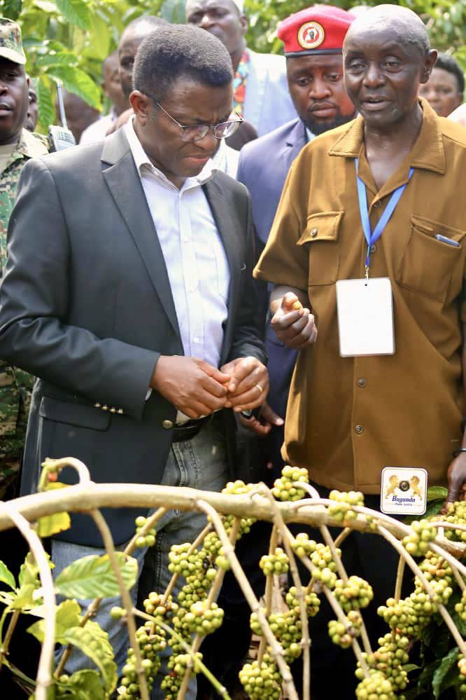 Katikkiro <a href="/cpmayiga/">Charles Peter Mayiga</a> yalambudde abalimi b'emmwanyi e  Ssingo era n'atongoza omwaka gwa #EmmwanyiTerimba 2025-2026.

Ensonga enkulu ze tukubiriza abantu baffe kati kwe kwongera omutindo ku mmwanyi, abavubuka n'abakyala okujjumbira okulima emmwanyi ate ffenna tunywe Kaawa.