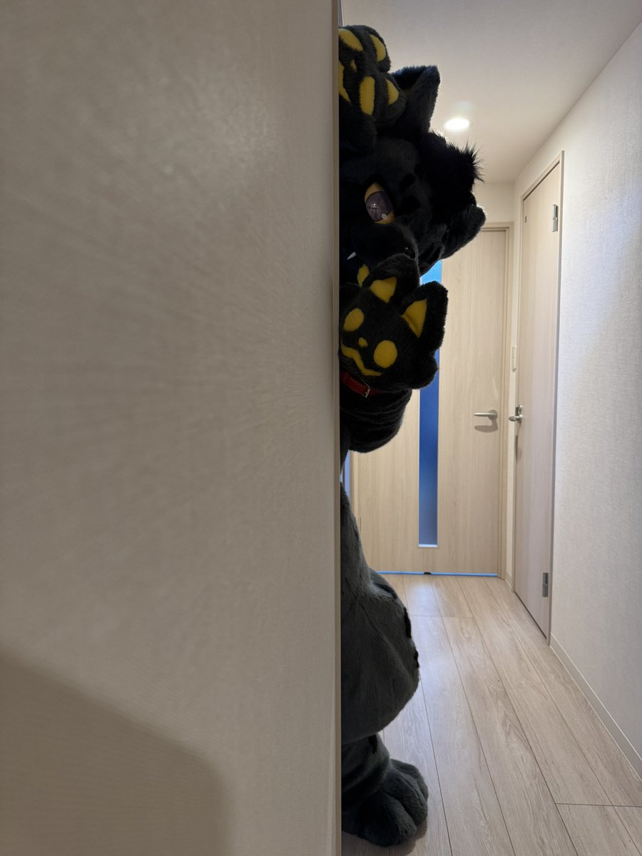 偷看一下w
 #FursuitFriday