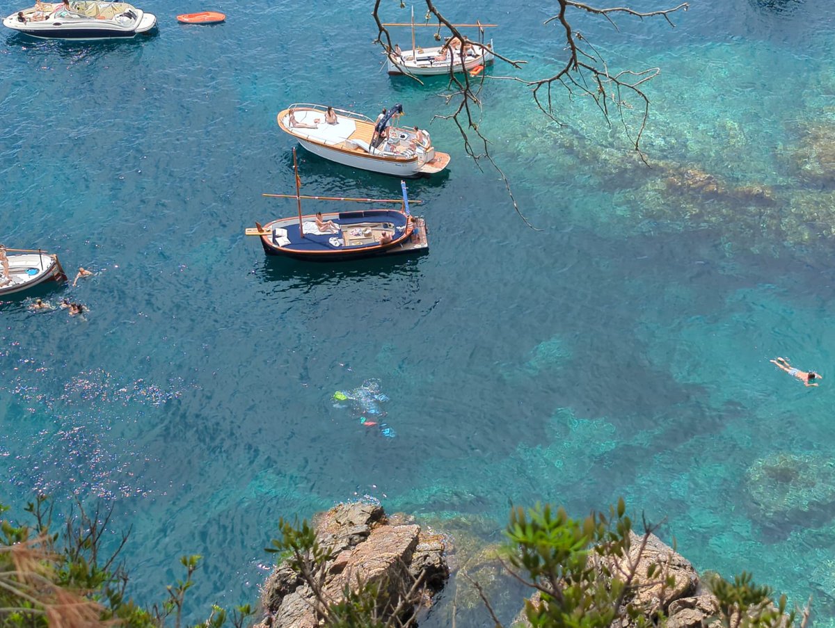 SOS Costa Brava denuncia novament que moltes embarcacions d’esbarjo incompleixen la normativa. Aquests darrers dies diverses embarcacions s’han amuntegat darrera el port de Llafranc, damunt un dels millors boscos de posidònia oceànica de la zona. bit.ly/4e1OnDr