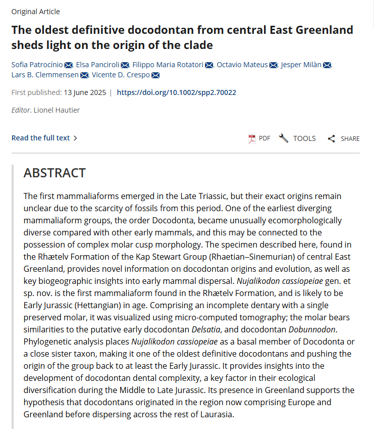 Pedro Andrade Paleoart tweet media