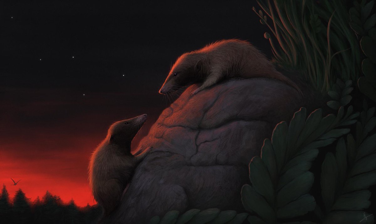 Pedro Andrade Paleoart tweet media