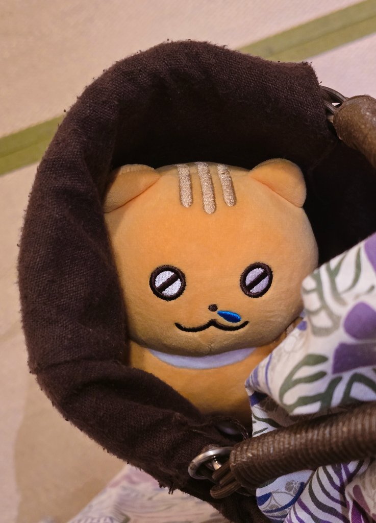 ~대충 매우 만족도 높은 여행 중 with. 콩물이,,,&amp;일본에서 만난 운명적 나무늘보친구,,,,~이라는 트윗,,,
<a href="/luv_nan2/">난 NAN</a>