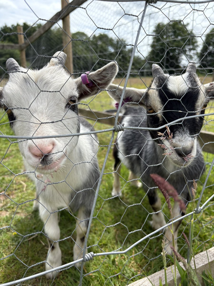 Saying goodbye to the friends we made at Kibblestone Camp.