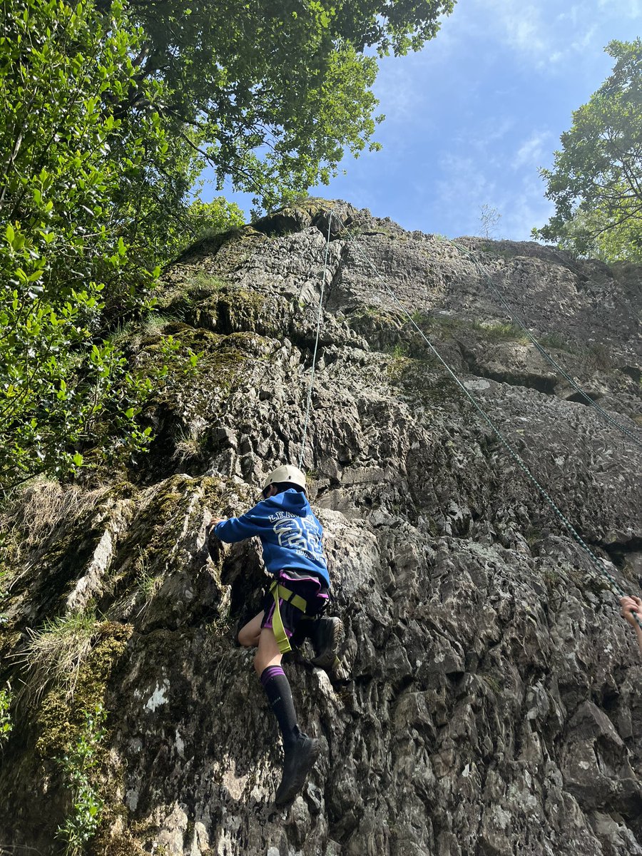 mattarnprimary tweet media