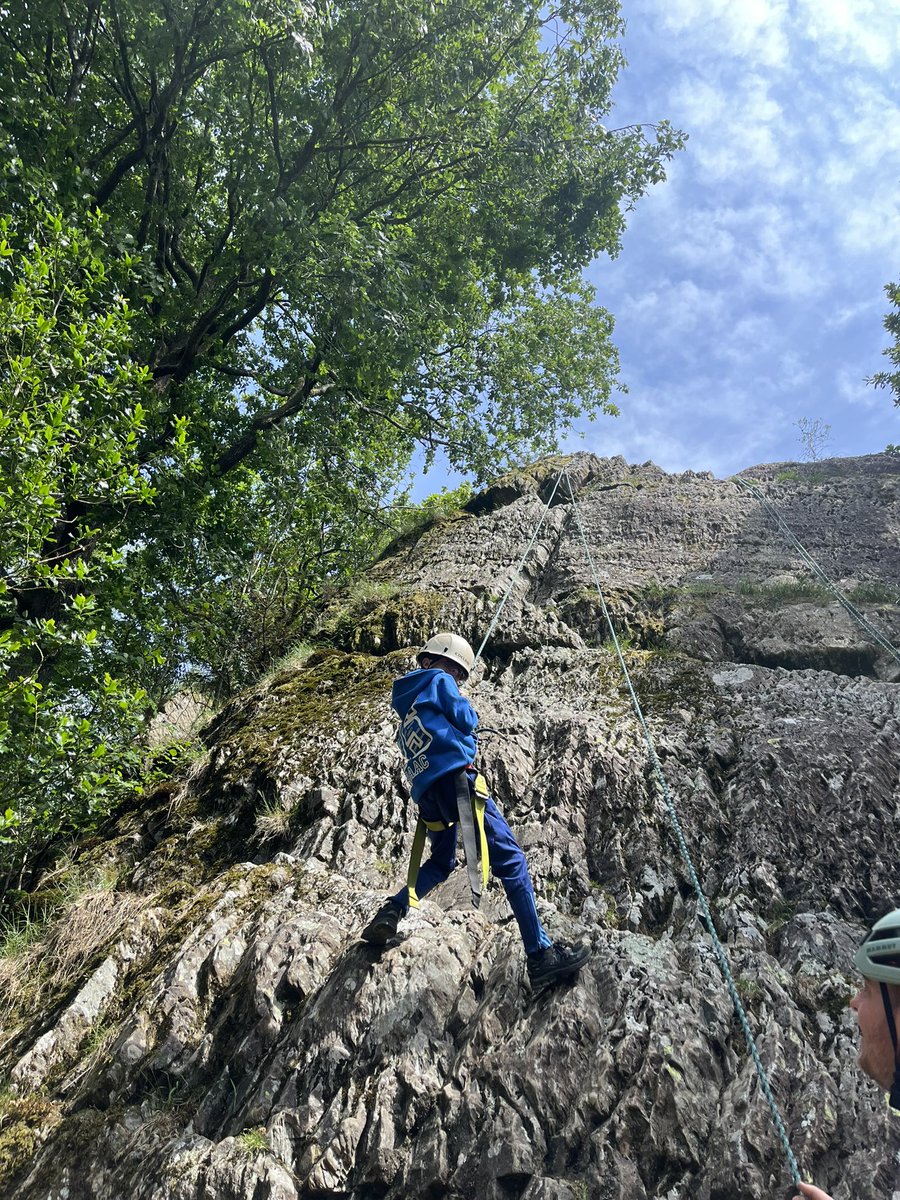 mattarnprimary tweet media