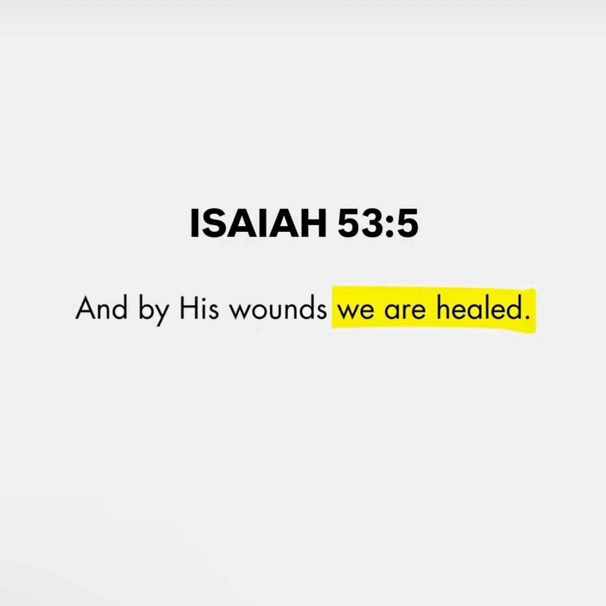 Bible 365 tweet media