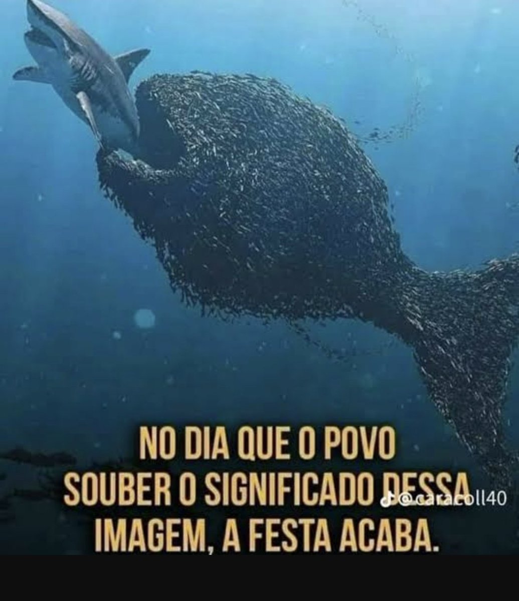 Pq o povo, q é MAIORIA, 
está deixando os super-ricos, q são minoria, nos sufocar?

🚨 É hora de EXIGIR:
- Taxação dos super ricos
- Rever aposentadoria dos militares
- Cortar super salários
- FIM DA ESCALA 6X1

OU tem justiça ou terá 
POVO NA RUA