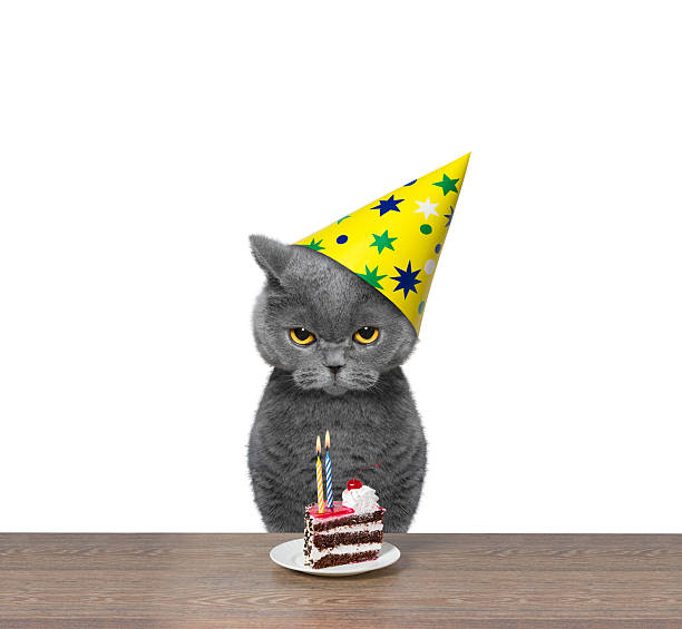 27🥳