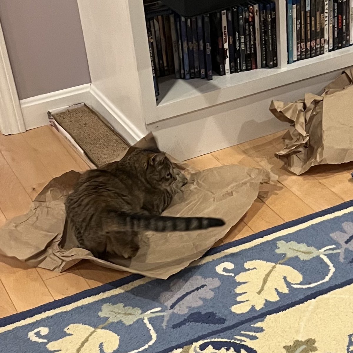 play time!!!!!!!!!!!!!!!