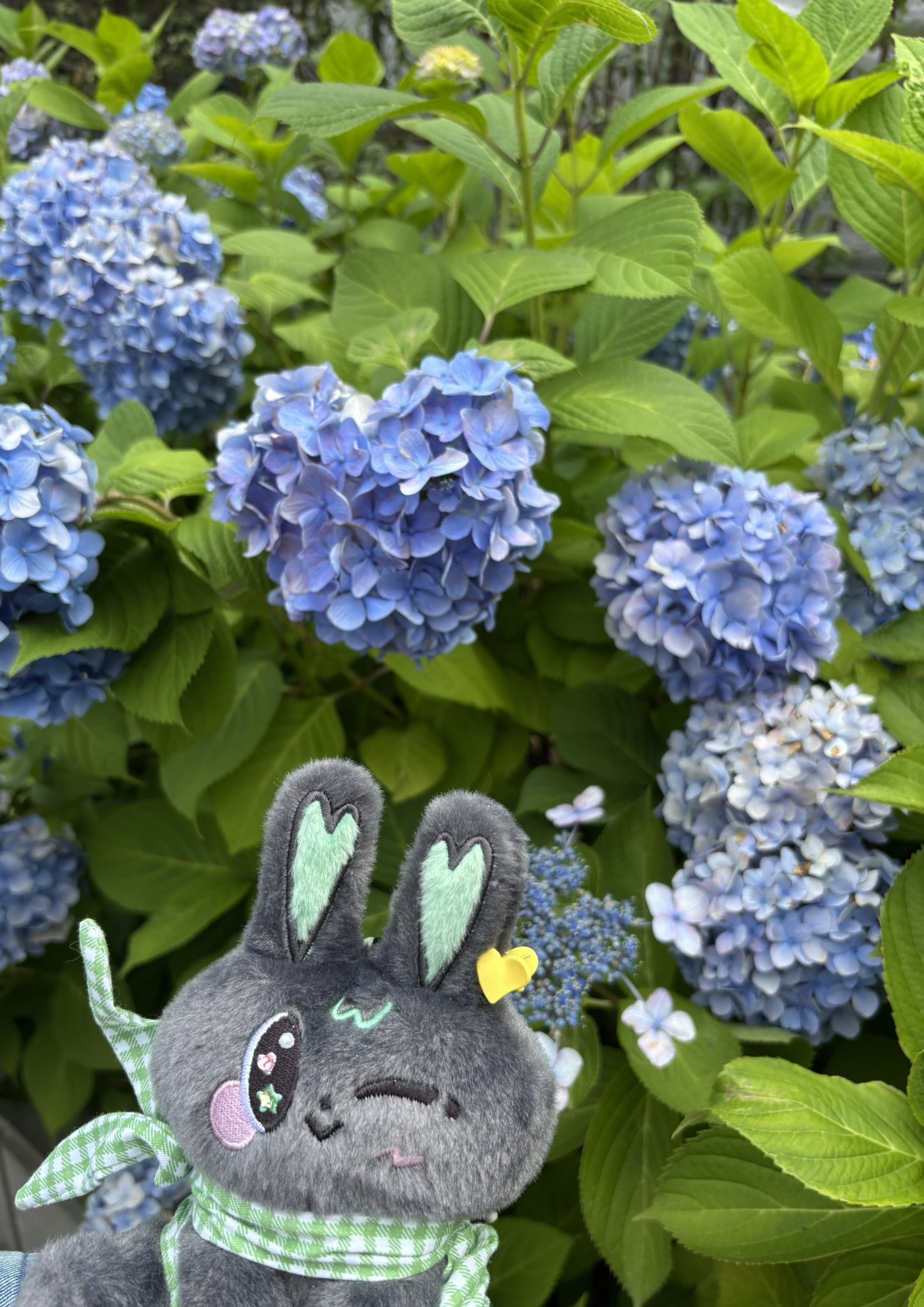 開催中セール一覧 さくらもち🌸🍡  X: on その他