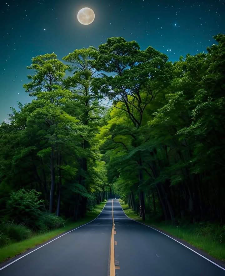 Is road ki trha beautiful Life