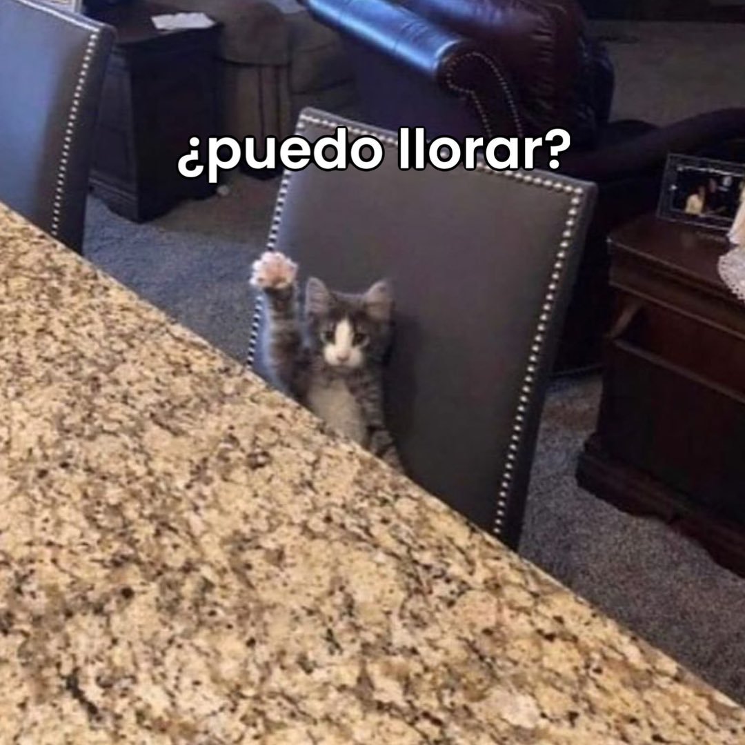 Una imagen no puede representarte tanto. La imagen: