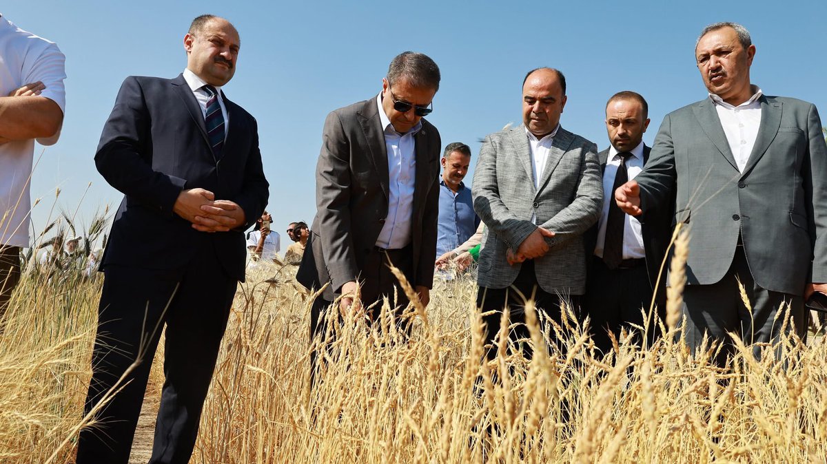 Deniz DEMİR (@mimardenizdemir) on Twitter photo Eyyübiye Belediye Başkanımız Sn.Mehmet KUŞ adına, Büyükşehir Belediyesi tarafından 13–15 Haziran 2025 tarihleri arasında gerçekleştirilecek “Slow Wheat Şanlıurfa 2025 Festivalinin” Açılış Programına katılım sağladık.
<a href="/mehmetkusnet/">Mehmet Kuş 🇹🇷</a> Eyyübiye Belediye Başkanımız Sn.Mehmet KUŞ adına, Büyükşehir Belediyesi tarafından 13–15 Haziran 2025 tarihleri arasında gerçekleştirilecek “Slow Wheat Şanlıurfa 2025 Festivalinin” Açılış Programına katılım sağladık.
<a href="/mehmetkusnet/">Mehmet Kuş 🇹🇷</a>
