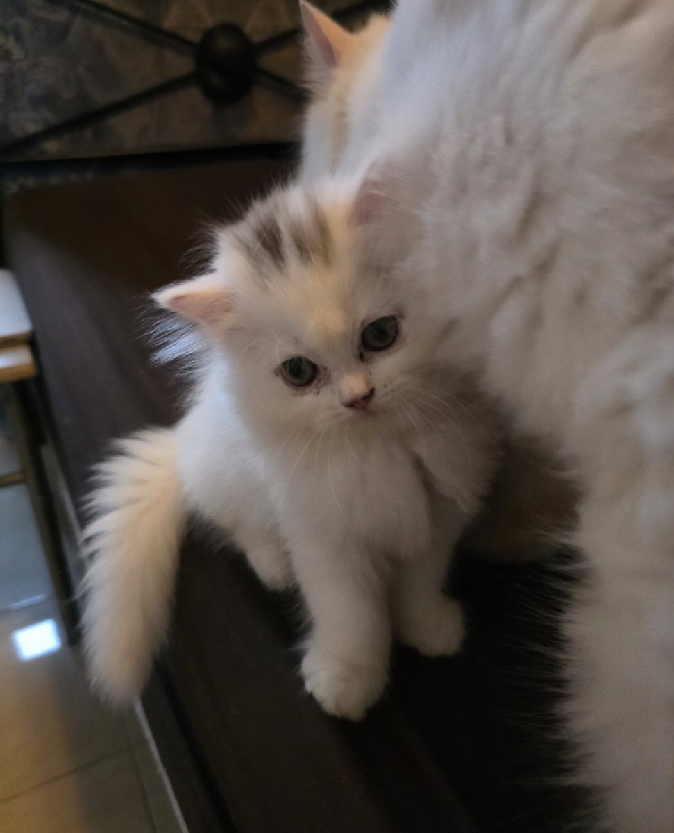 🌈Unicorn🦄 tweet media