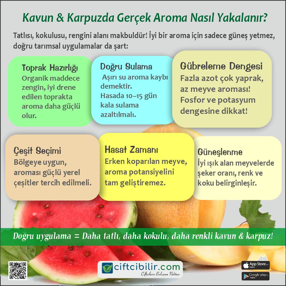 Daha fazla bilgiye sitemizin Tarım Kütüphanesi bölümünden ulaşabilirsiniz.
İlanlarınızı sitemizde ücretsiz yayınlayabilirsiniz...
ciftcibilir.com