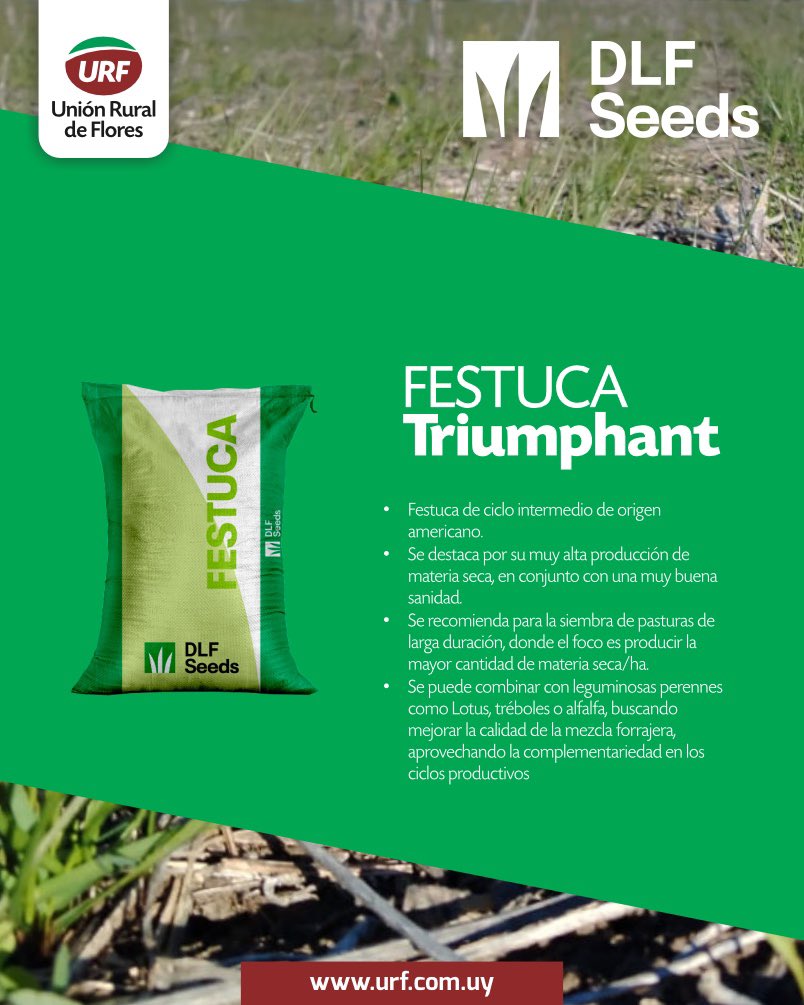 🌱𝗜𝗺𝗽𝗹𝗮𝗻𝘁𝗮𝗰𝗶𝗼́𝗻 𝗾𝘂𝗲 𝗽𝗿𝗼𝗺𝗲𝘁𝗲

Festuca Triumphant de <a href="/DLF_Uruguay/">DLF Seeds</a> sembrada a fines de abril sobre rastrojo de soja en San José. Un comienzo firme para una pastura de alto rendimiento.

#FestucaTriumphant #PasturasDeInvierno #SanJosé #Forrajes #Siembra2025