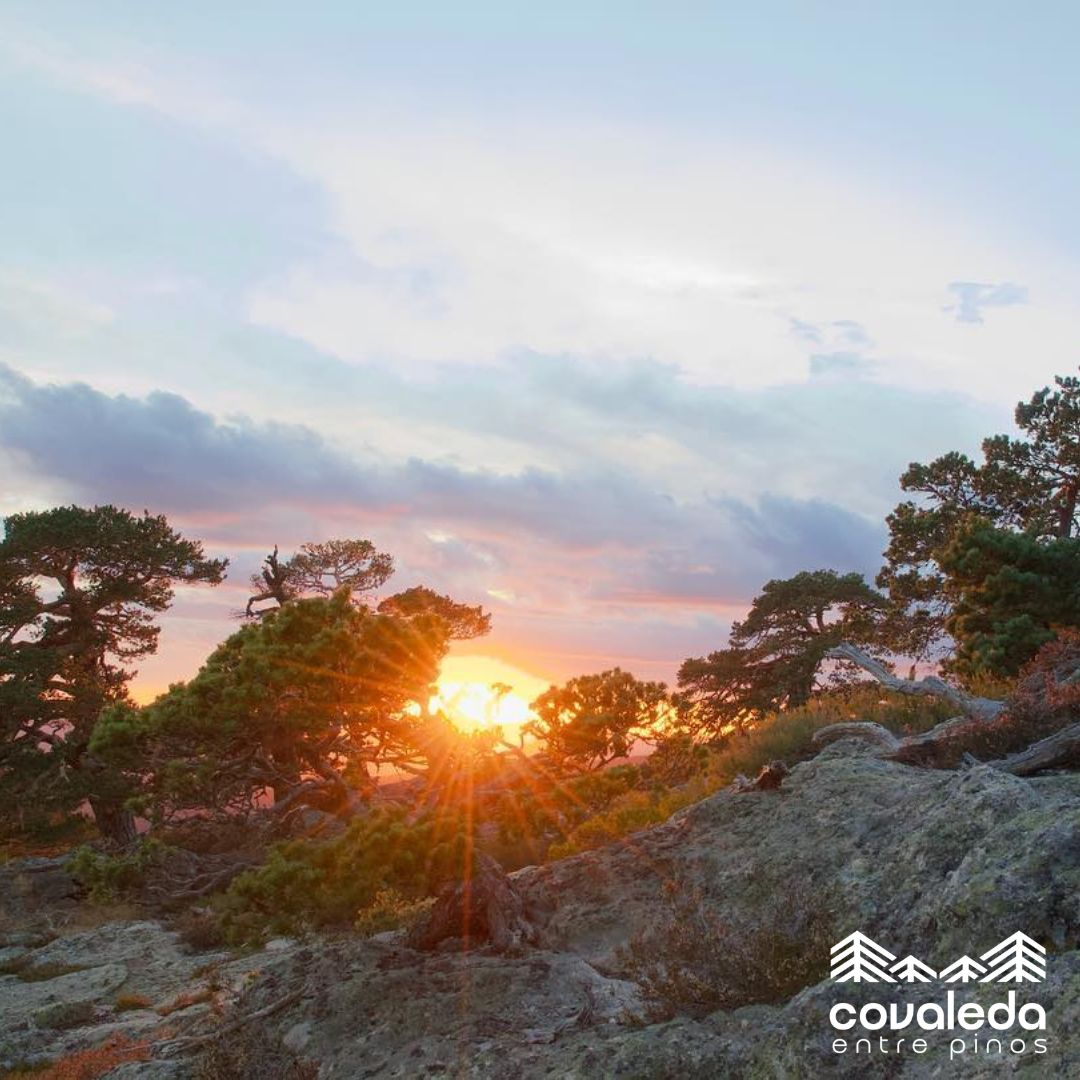 Un atardecer en el paraje de Ambascuerdas, en los Picos de Urbión cerca de Covaleda (provincia de Soria, España), es una experiencia natural profundamente hermosa y serena un bonito lugar para desconectar este fin de semana. 
@Victor RI
covaleda.es