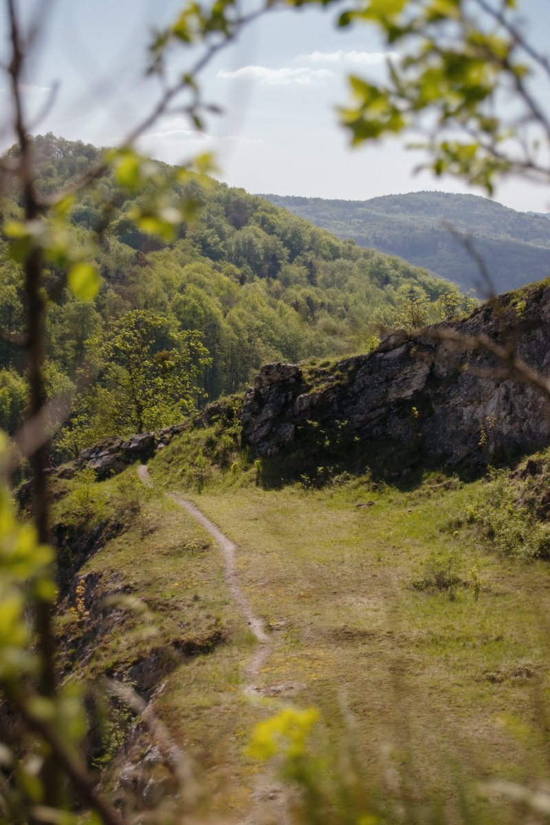 Jacob Pollux🙏 tweet media