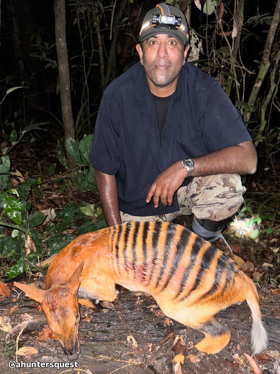 PROTECT ALL WILDLIFE (@protect_wldlife) on Twitter photo Trophy hunters putting the CON in Conservation! 
'I just returned from an epic and intense #hunt in the jungles of Liberia after the elusive Zebra Duiker. *Hunting at night, walking 6-7 hours thru relentless heat, dodging venomous snakes, swarms of biting insects, and pushing Trophy hunters putting the CON in Conservation! 
'I just returned from an epic and intense #hunt in the jungles of Liberia after the elusive Zebra Duiker. *Hunting at night, walking 6-7 hours thru relentless heat, dodging venomous snakes, swarms of biting insects, and pushing