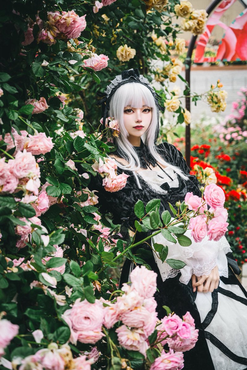 cos ローゼンメイデン/水銀燈