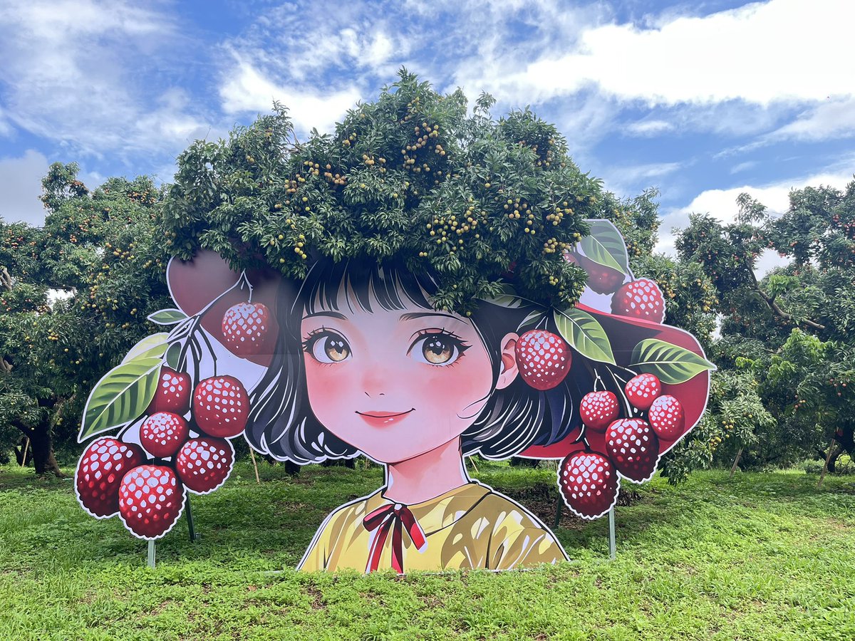 cf2024081's tweet photo. 今天去踩点，松山湖这片荔枝林惊艳到我了🥰 实在是太适合打卡和团建了☺️
#东莞 #荔枝 #出海 https://t.co/BtIm36R3Ia