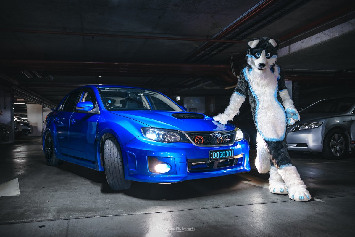 Hey. 😏
Come to check out my ride? 

This has got to be one of the best pics of my car with my fursuit. 🤩
So gotta do a track day. 

Huge thanks to <a href="/KaisunDerg/">Kaisun (Sean) ➡️ 🛌</a> for his photograph wizardry 🎩 ✨️ 🙌 

#FursuitFriday