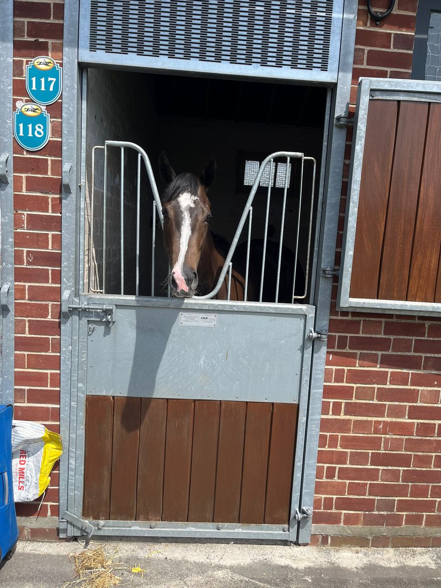 S.Pearce Racing (@spearce_racing) on Twitter photo Today we have Forager running at <a href="/yorkracecourse/">York Racecourse</a> in the 4.45pm #comehomesafe #racehorse #horseracing #fridayfeels Today we have Forager running at <a href="/yorkracecourse/">York Racecourse</a> in the 4.45pm #comehomesafe #racehorse #horseracing #fridayfeels