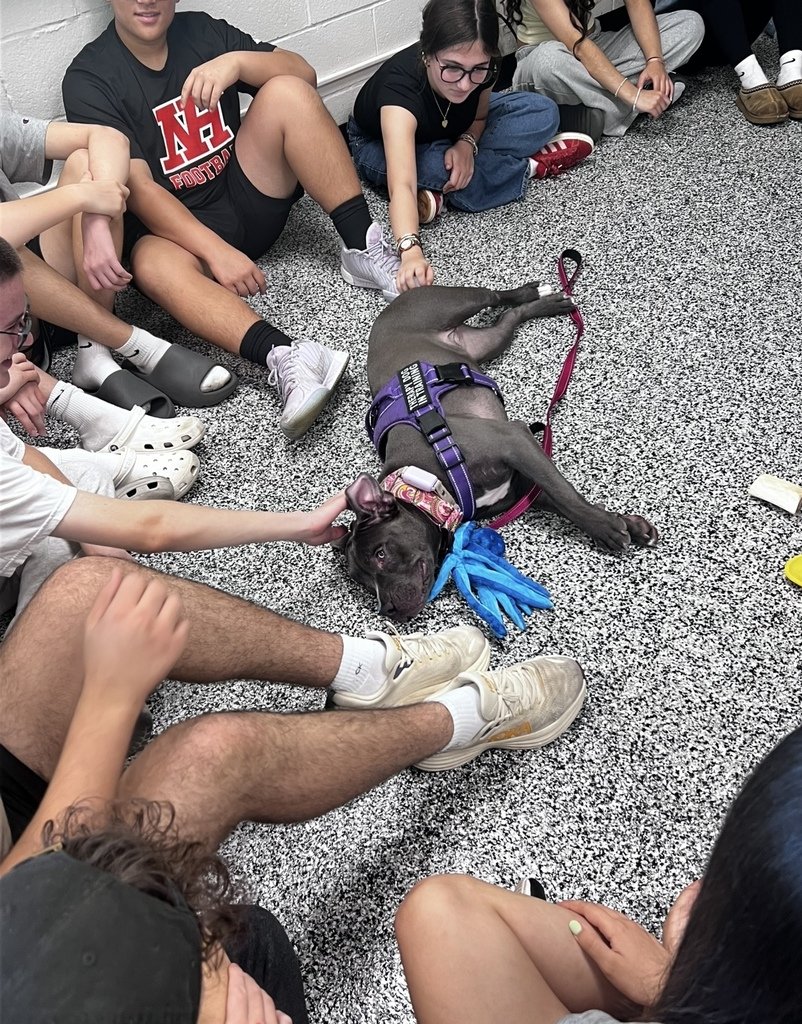 Mrs. Rodenberg's Advanced ASL classes learned how to teach her 7-month-old puppy, Casper, her commands in sign language, and they successfully taught her commands in sign-only (as opposed to voice and sign). Her ASL I class also played a round robin review game with Casper!