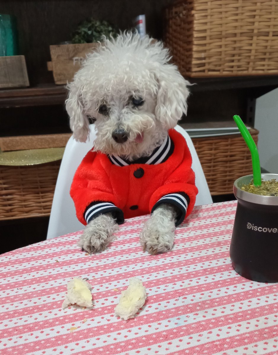 Que te miren como Marcelito mira al pancito c manteca! #FelizViernes para todos!!!