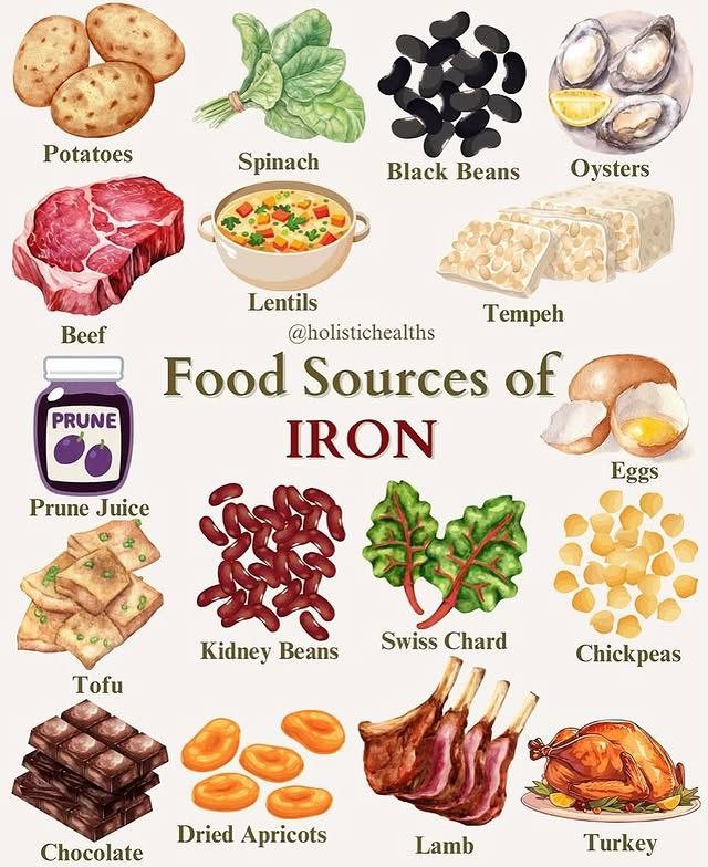 food_health_joy's tweet photo. Food Sources To Boost Your Iron Level✨️🫘 https://t.co/HXirrVH04z