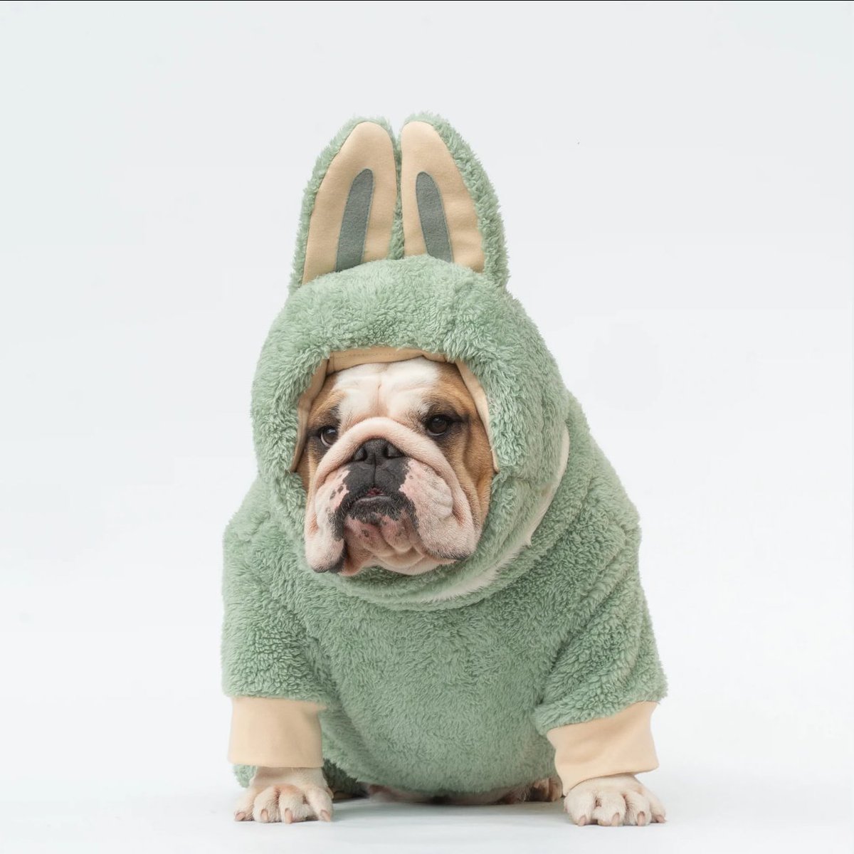 crypto_bunnie07's tweet photo. Send it #LABULLY
AtFfnUzk4fgNe4pqnc5vdK3ZQRQAiQxDFubceH9kpump https://t.co/jM4coMQIAn