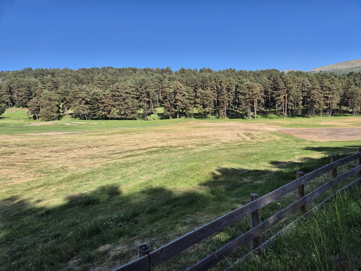 Fundación Patrimonio Natural (@patrimonionat) on Twitter photo Así se encontraba ayer la finca Mesegosillo tras la XVIII edición de <a href="/GredosMN/">Músicos Naturaleza</a> ¡ Así se encontraba ayer la finca Mesegosillo tras la XVIII edición de <a href="/GredosMN/">Músicos Naturaleza</a> ¡