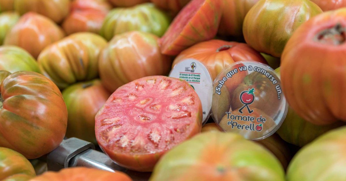 🍅 No es un tomate cualquiera.

El tomate del Perelló es jugoso, dulce y con sabor a verano del bueno. ¡De la huerta a la mesa!

¿Lo has probado ya?

#ActitudMediterránea