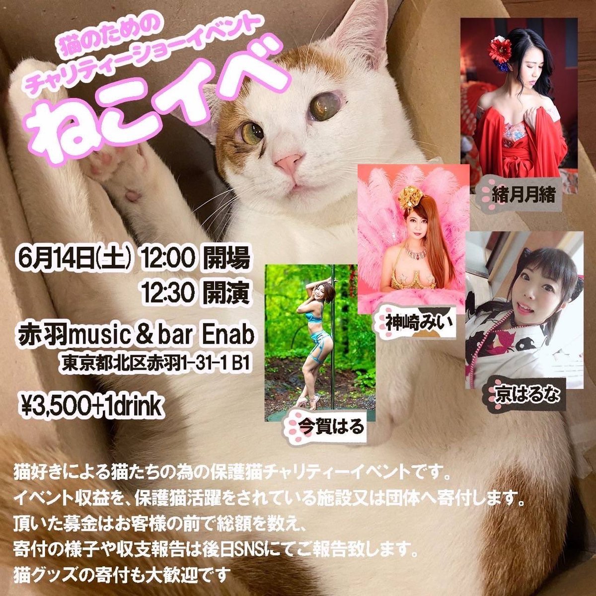 明日6月14日(土)は「ねこイベ」
猫好きによる猫たちのための保護猫チャリティーイベント

開場12:00
開演12:30
料金:3500+1drink