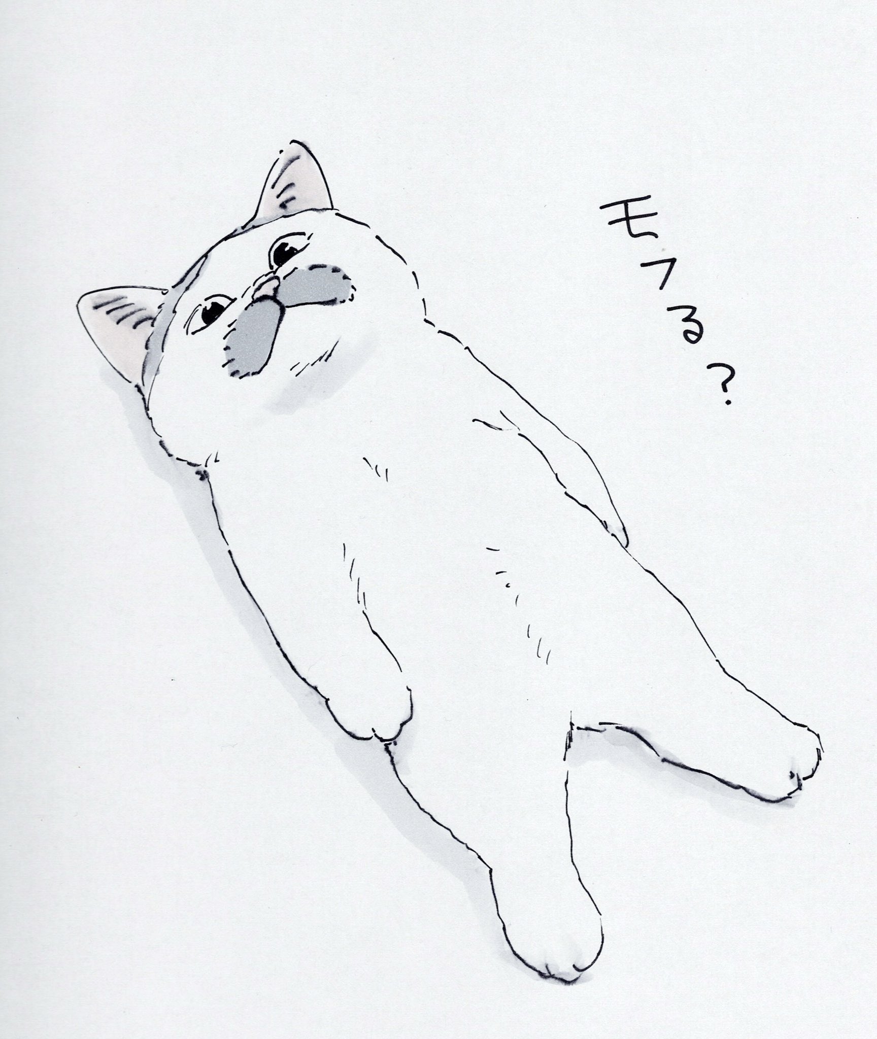 拾い猫のモチャ7」にごたろ [コミックエッセイ] - KADOKAWA