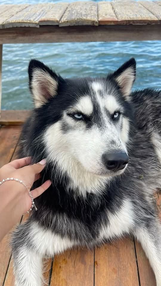 ❤️❤️❤️