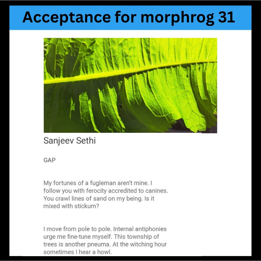 Sanjeev Sethi tweet media