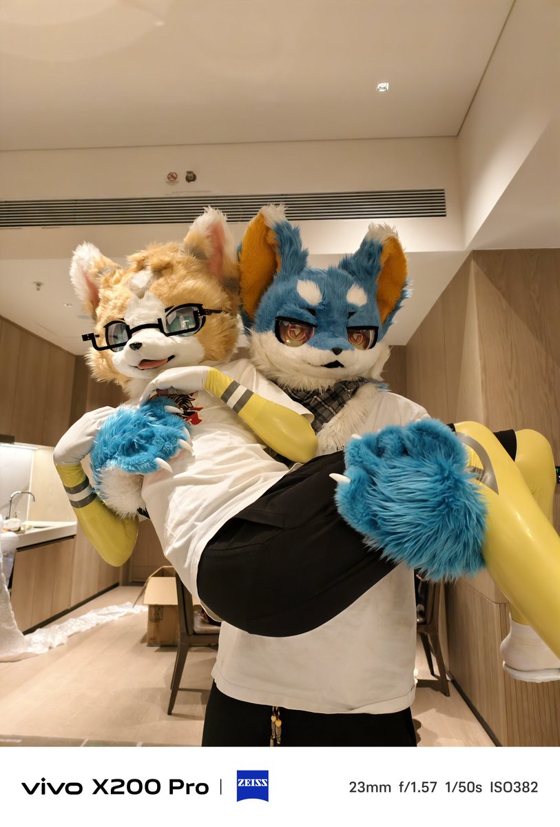 xuewei07's tweet image. 超怪力狼狼!
🐱@NemolaLau
📷@Ghost_Gousite
#FursuitFriday
