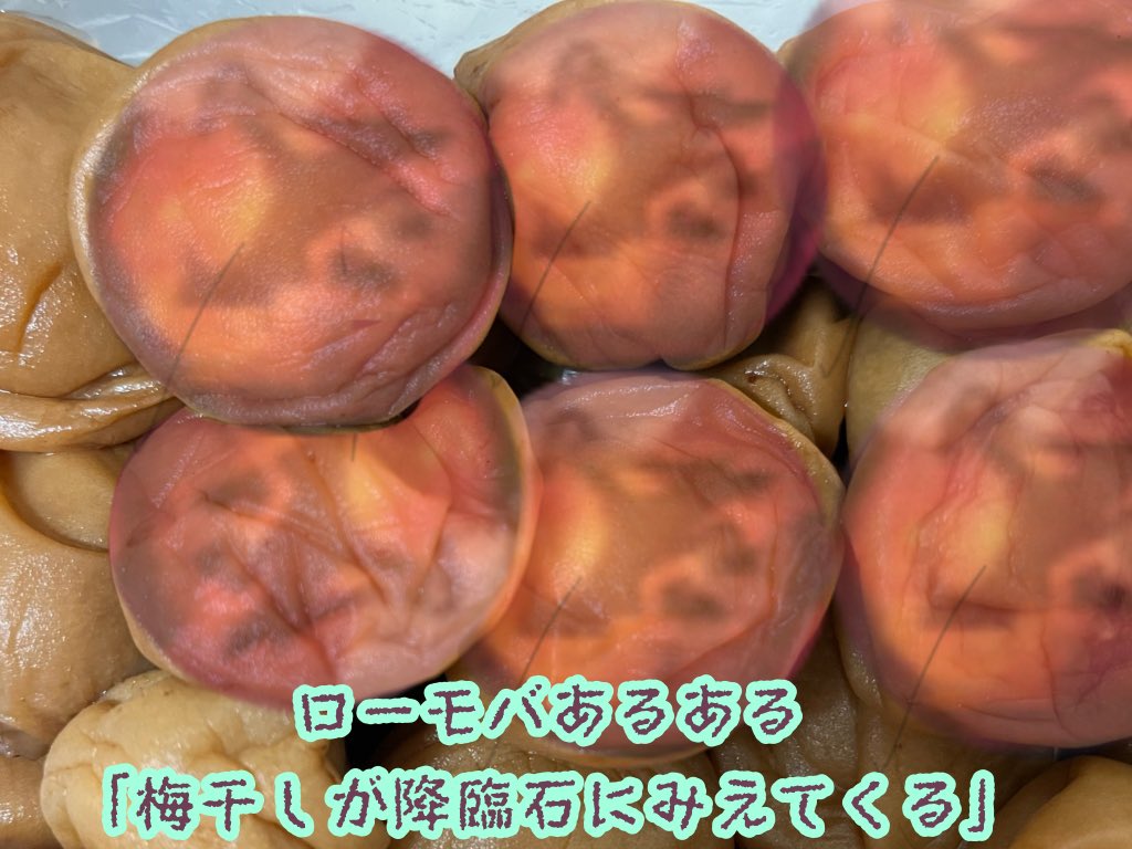 🆔1946297181

#ローモバ
#アトチャレ66