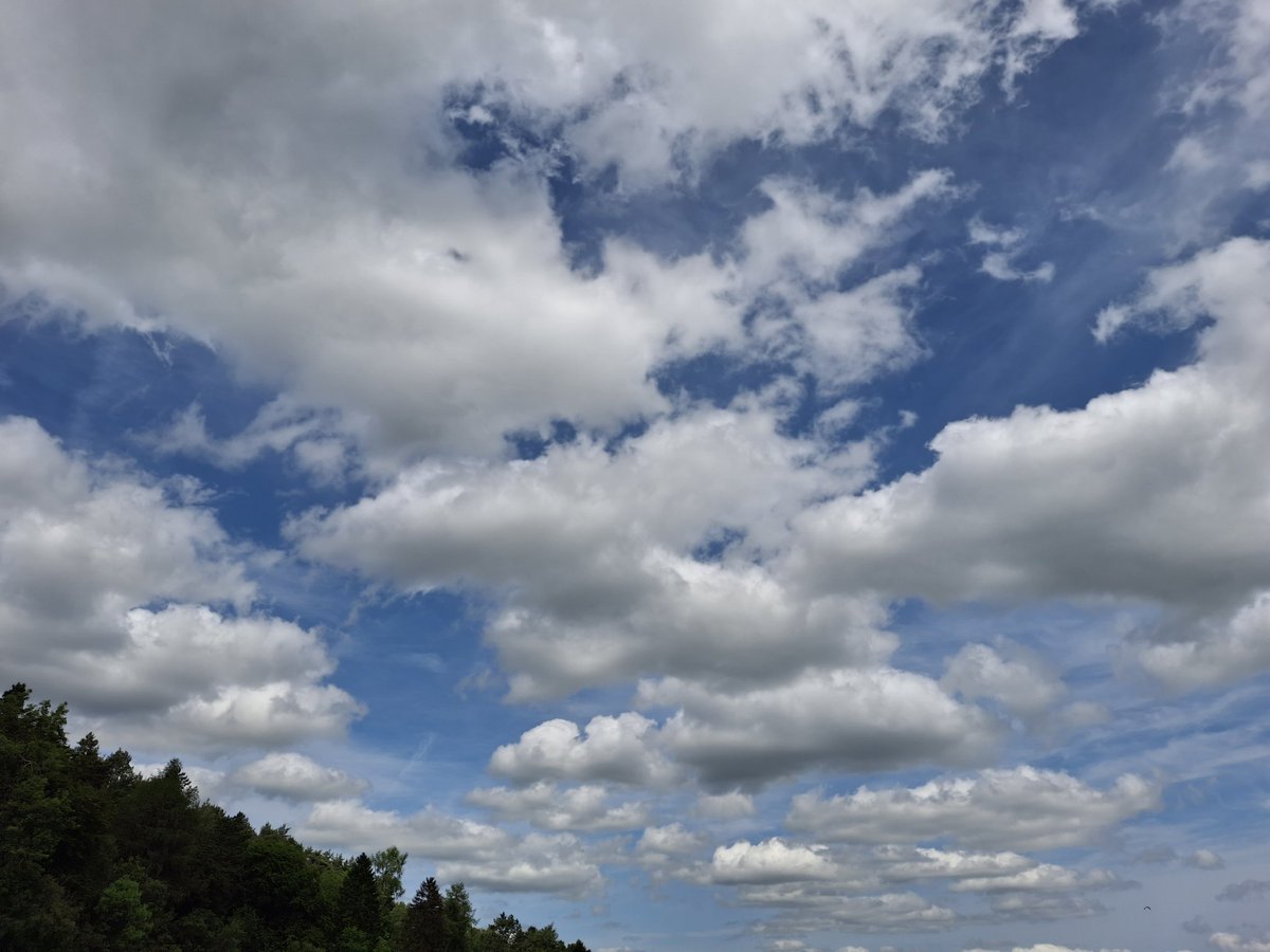 Ben Skywatcher 🏴 (@benknight1980) on Twitter photo Skyscum, m0ther feckers 😡
#NorthYorkshire
13/06/25 1310
🌫✈️☠️ #SAI #Geoengineering
#doppler #nexrad
<a href="/DELTA9_DELTA9/">DELTA 9</a> <a href="/IonisedSkyWatch/">Alex Meechan</a>
<a href="/Demo2020cracy/">Anti Lockdown Alliance(GLOBAL)</a>
<a href="/Chemtrail101/">Chemtrailcity</a>
<a href="/Jackie00007649/">Jackie 🇬🇧🏴🌞🇬🇧🏴</a>
<a href="/jesseRoss597206/">Jesse Lynn♥️</a> Skyscum, m0ther feckers 😡
#NorthYorkshire
13/06/25 1310
🌫✈️☠️ #SAI #Geoengineering
#doppler #nexrad
<a href="/DELTA9_DELTA9/">DELTA 9</a> <a href="/IonisedSkyWatch/">Alex Meechan</a>
<a href="/Demo2020cracy/">Anti Lockdown Alliance(GLOBAL)</a>
<a href="/Chemtrail101/">Chemtrailcity</a>
<a href="/Jackie00007649/">Jackie 🇬🇧🏴🌞🇬🇧🏴</a>
<a href="/jesseRoss597206/">Jesse Lynn♥️</a>